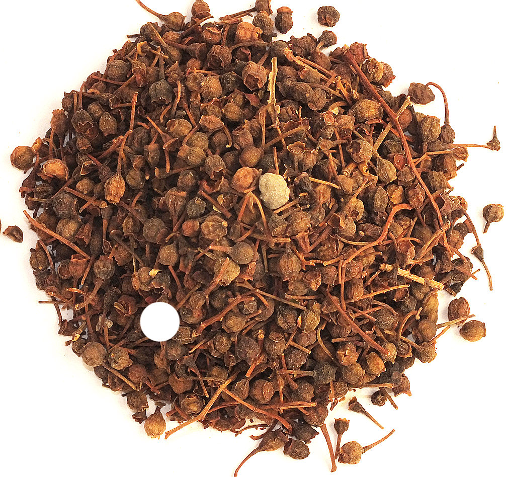 REDCURRANT Ribes Rubrum