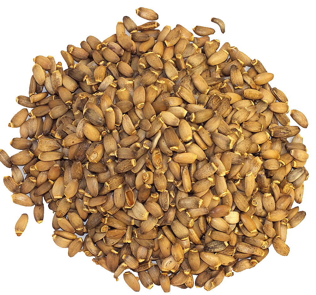 MILK THISTLE SEEDS WHOLE