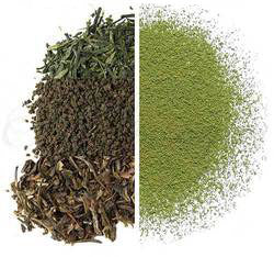 MATCHA TEA